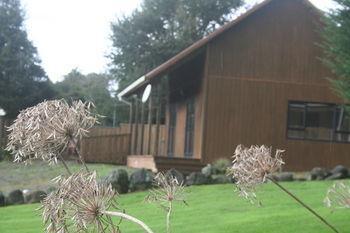 Ariari Lodge, Lake Rotorangi Stratford Bagian luar foto